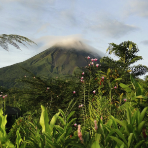 Ayahuasca Retreat Costa Rica